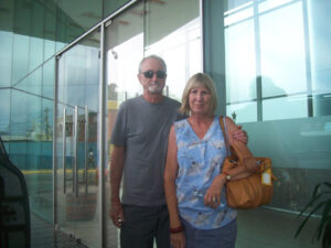 Private Transfer from Valparaiso Cruise Port to Santiago